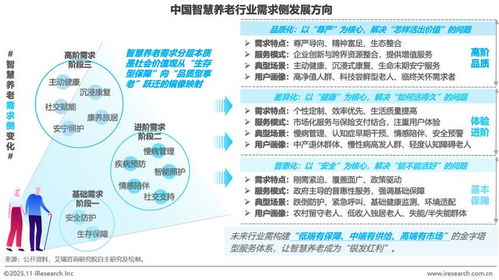 中國智慧養老行業研究報告 物聯網應用服務的創新與展望